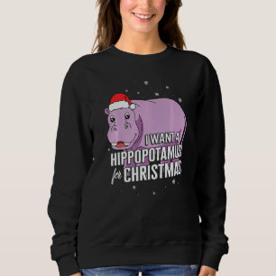 Christmas I Want A Hippopotamus For Christmas Cute Sweatshirt