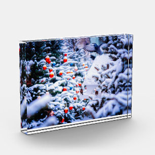 Christmas Idyll elegant Photo Block