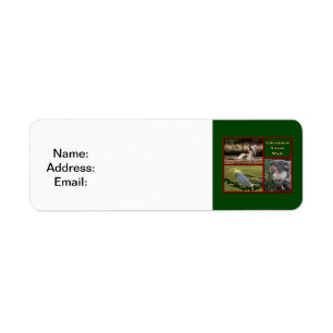 Christmas in Australia Return Address Label