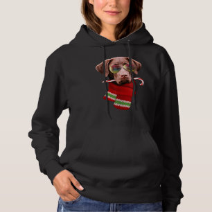 Christmas In July Labrador Sunglasses Dog Lover Hoodie