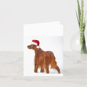 Christmas Irish Setter  Holiday Card