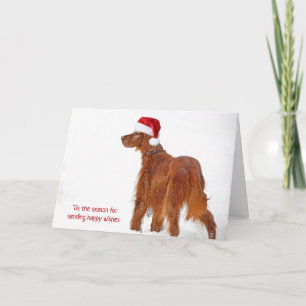 Christmas Irish Setter In Snow Card