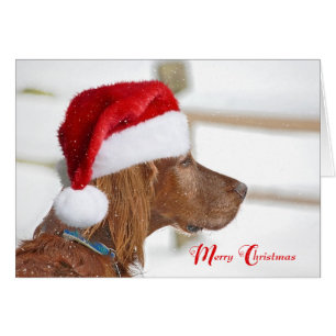 Christmas Irish Setter in snowflakes