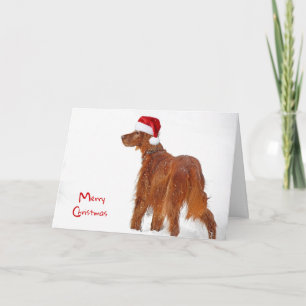 Christmas Irish Setter in snowflakes Card