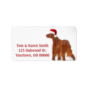 Christmas Irish Setter  Label