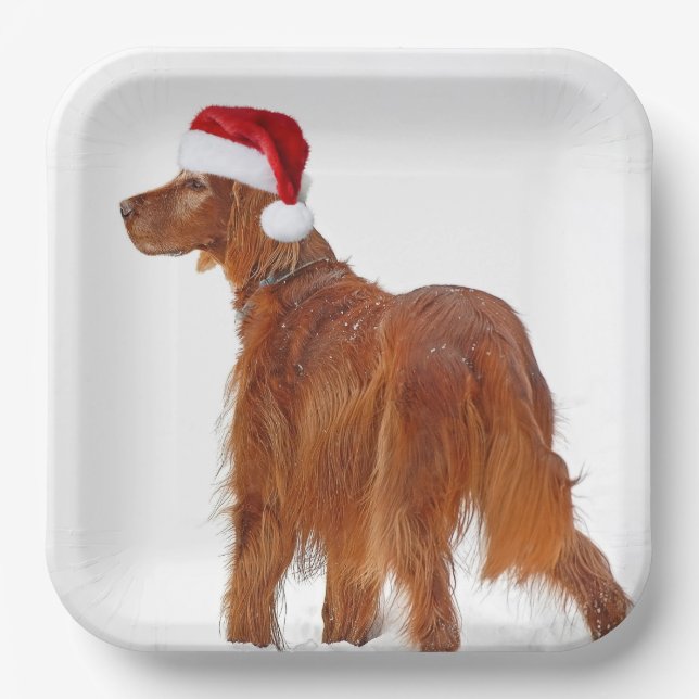 Christmas Irish Setter  Paper Plate (Front)