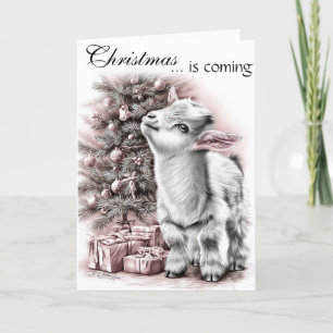 Christmas is Coming Baby Goat Holiday Card