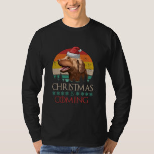 Christmas Is Coming Chesapeake Bay Retriever Dog T-Shirt