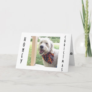 CHRISTMAS IS SPECIAL/ALL YEAR CHRISTMAS DOGGIE HOLIDAY CARD
