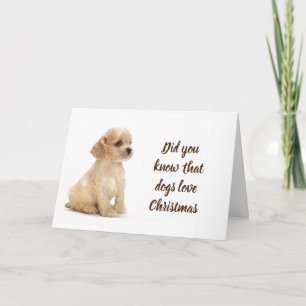 CHRISTMAS IS "SPECIAL" FOR THIS COCKER SPANIEL CARD