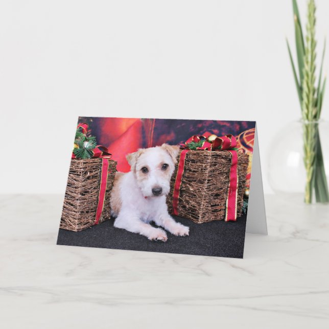 Christmas - Jack Russell - Wiley Holiday Card (Front)