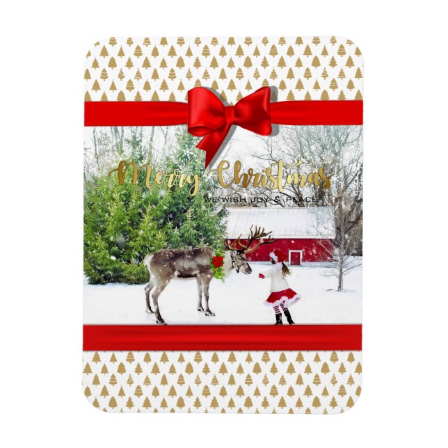 Christmas Joy and Peace Photo Magnet (Vertical)