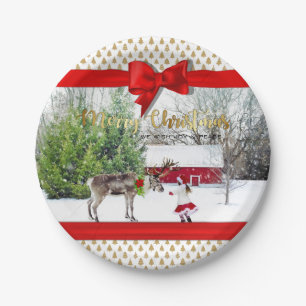 Christmas Joy and Peace Photo Paper Plate