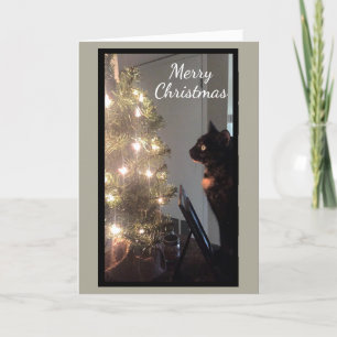 Christmas Joy Calico Cat Christmas Card