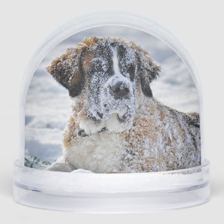 Christmas, Keepsake, or Memorial Custom Pet Photo  Snowglobe