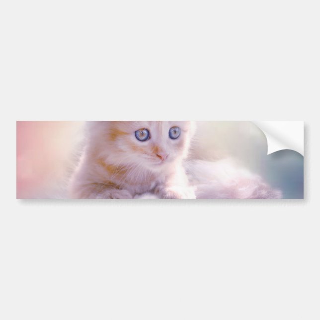 Christmas Kitten Bumper Sticker (Front)