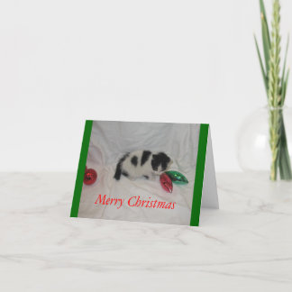 Christmas kitten card