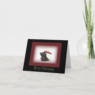 Christmas Kitten Card