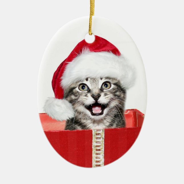 Christmas kitten ceramic ornament (Front)
