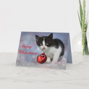 christmas kitten greeting card