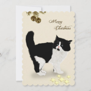 Christmas Kitten Holiday Card