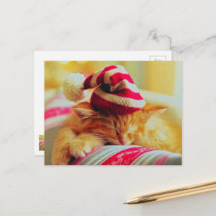Christmas Kitten Holiday Postcard