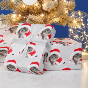 Christmas Kitten In Hat On Grey Wrapping Paper