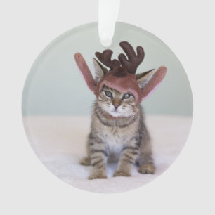 Christmas Kitten Ornament
