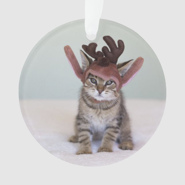 Christmas Kitten Ornament (Front)