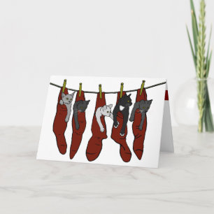 Christmas Kittens   Chatons de Nöel Card (corny)