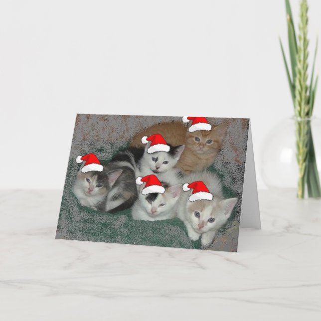 Christmas Kittens Holiday Card (Front)