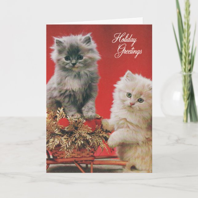 Christmas Kittens Holiday Card (Front)