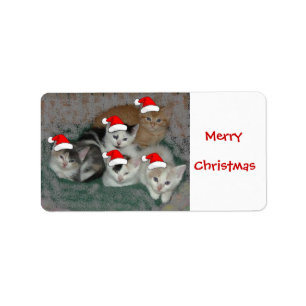 Christmas Kittens Label