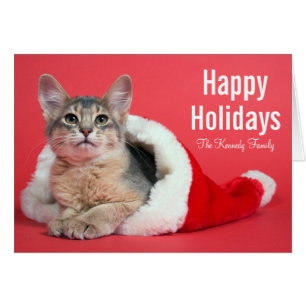 Christmas kitty
