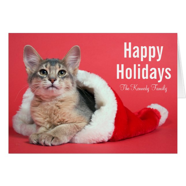 Christmas kitty (Front Horizontal)