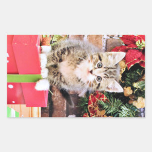 Christmas - Kitty Cat - Monki Rectangular Sticker