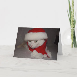 Christmas Kitty Holiday Card