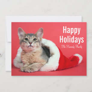 Christmas kitty holiday card