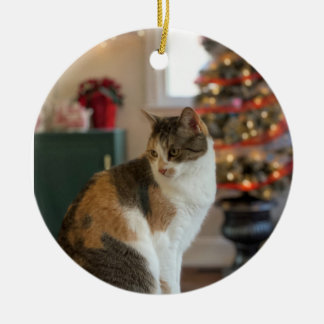 Christmas Kitty Ornament