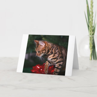Christmas Kitty Photo (Domestic Bengal Cat) Holiday Card