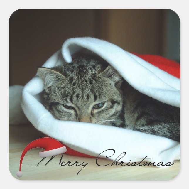 Christmas kitty square sticker (Front)