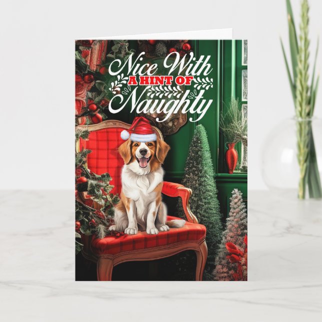 Christmas Kooikerhondje Dog Naughty or Nice Holiday Card (Front)