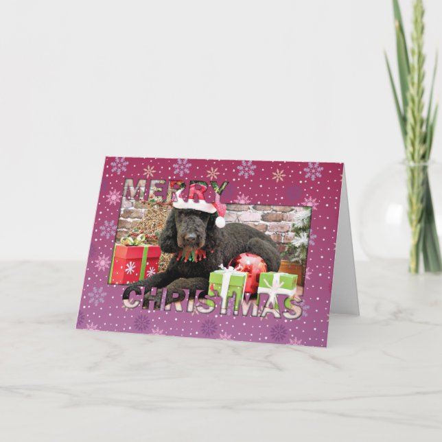 Christmas - LabraDoodle - Miller Holiday Card (Front)