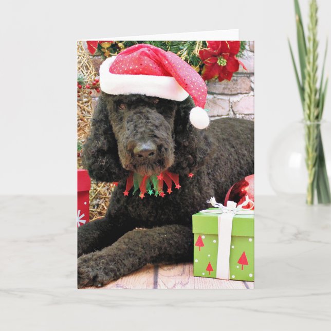 Christmas - LabraDoodle - Miller Holiday Card (Front)