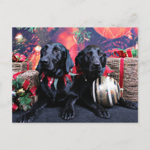 Christmas - Labrador - Banjo and Boomer Holiday Postcard