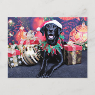 Christmas - Labrador - Cooper Holiday Postcard