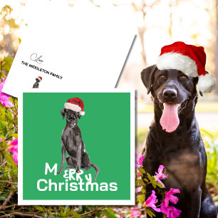 Christmas Labrador Dog White Green Merry Greeting