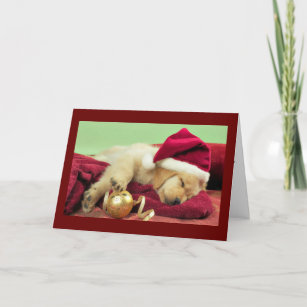 Christmas Labrador Holiday Card