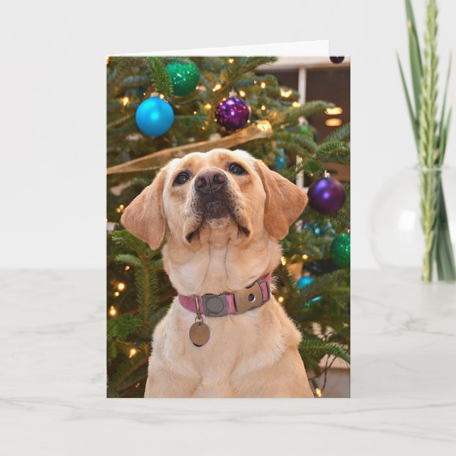Christmas Labrador Retriever Holiday Card (Front)