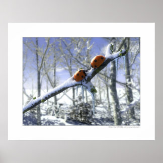 Christmas ladybirds poster